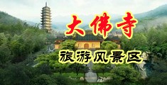 日日日嫩B中国浙江-新昌大佛寺旅游风景区